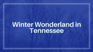Read more about the article Winter Wonderland in Tennessee