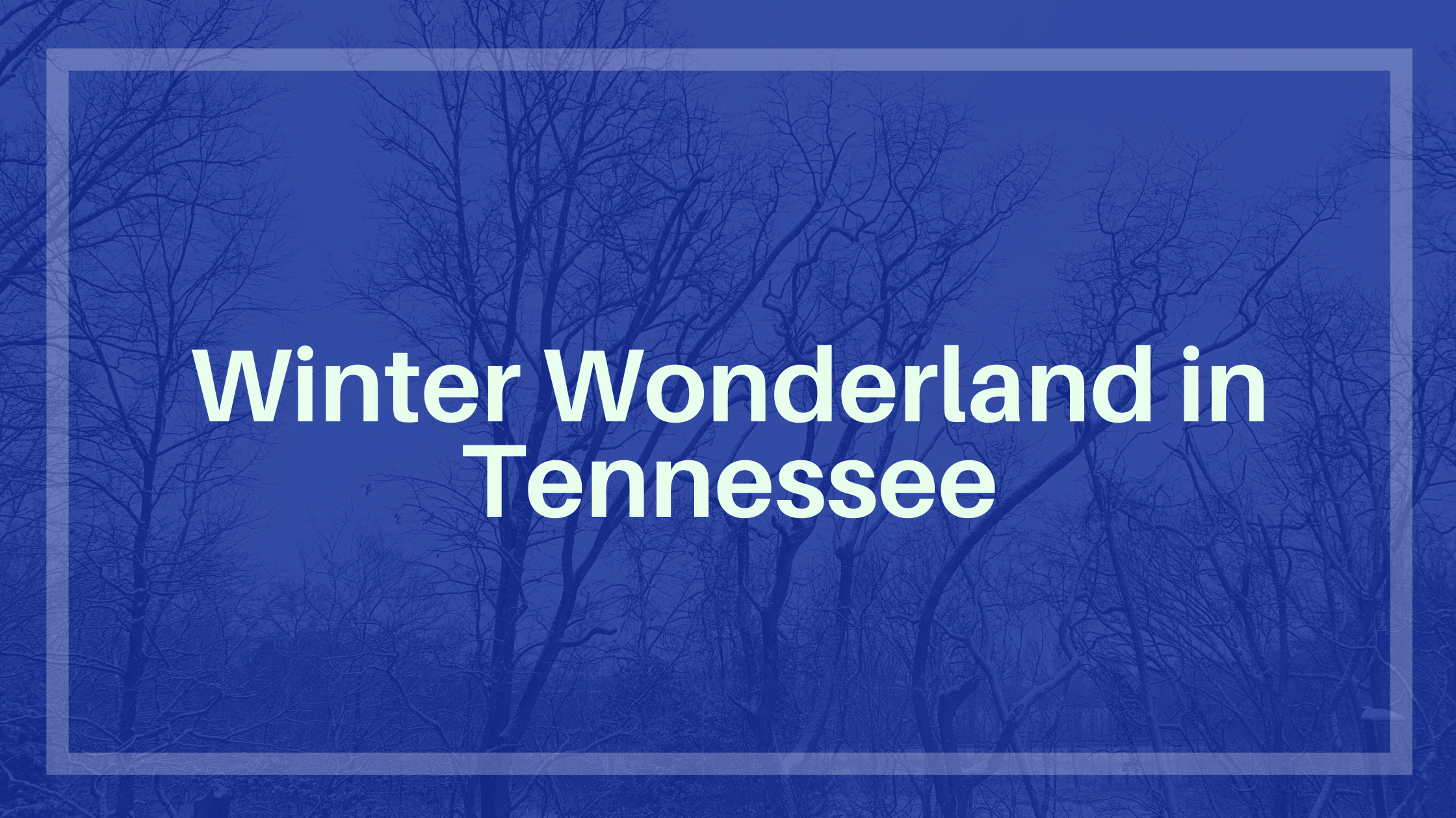 Read more about the article Winter Wonderland in Tennessee